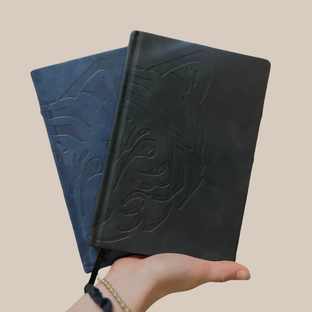 Daily Journal Two Pack