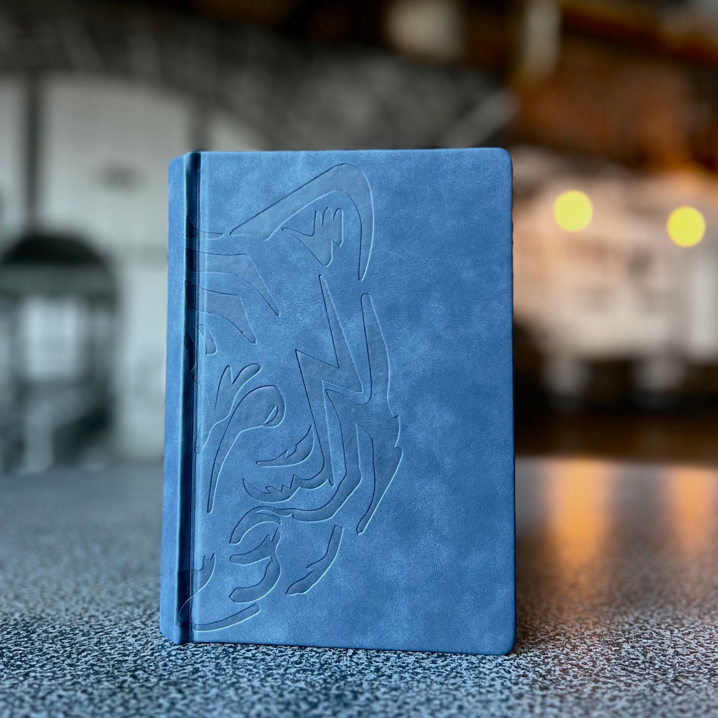 Navy Daily Journal